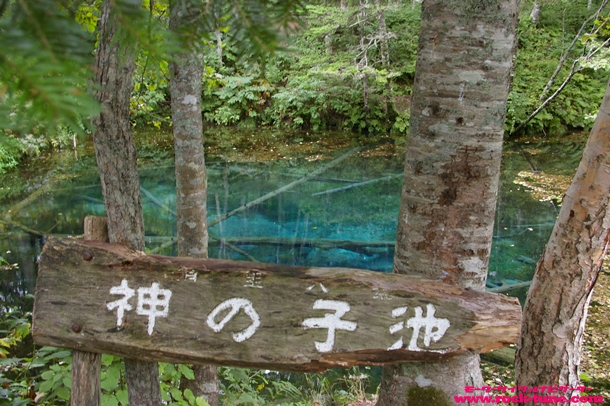 神の子池