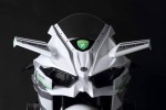 KAWASAKI Ninja H2R こんなカラーにした人います??