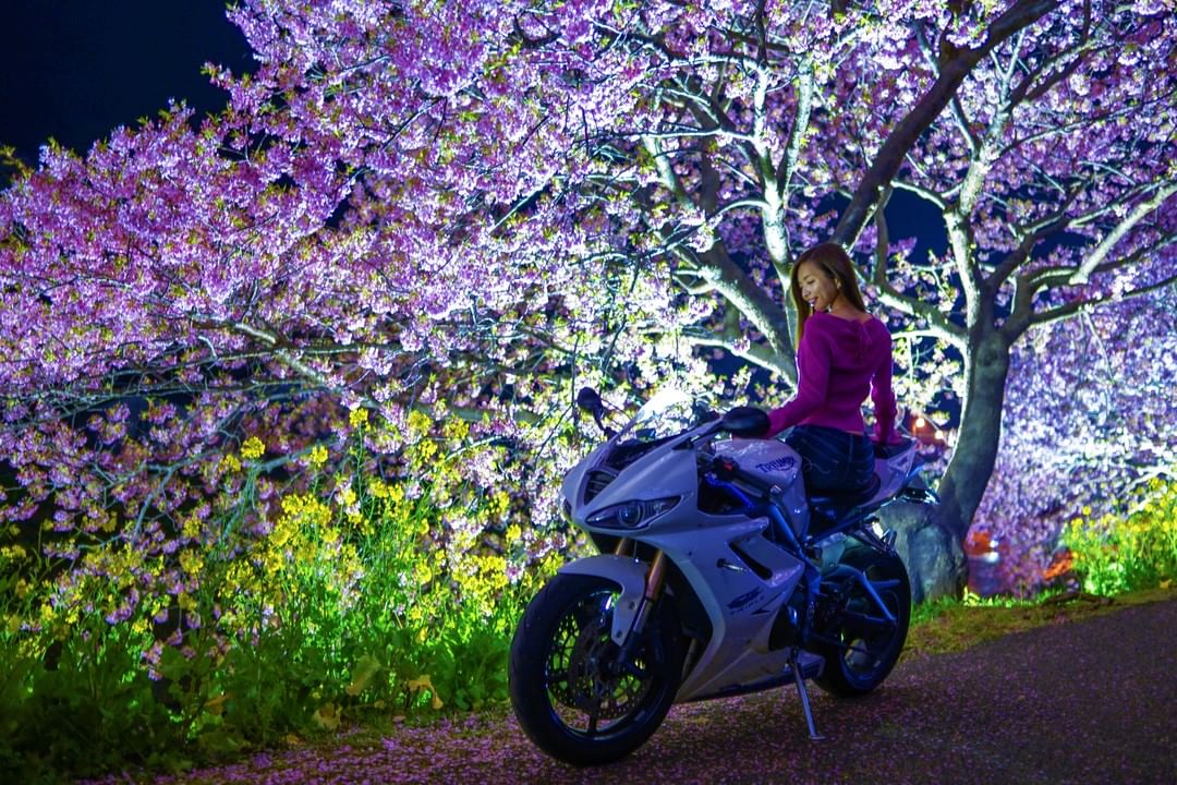 インスタ女子Ruriko女子 #バイク写真部⁣ #ツーリング⁣ #桜⁣ #河津桜⁣ https://www.rock-tune.com/2019/03/09/16904